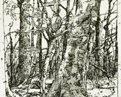 The eight most efficient drawing tips for landscape drawing