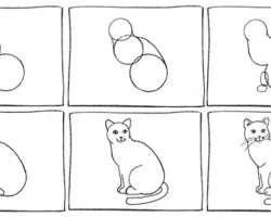 How To Draw A Cat Step By Step Realistic
