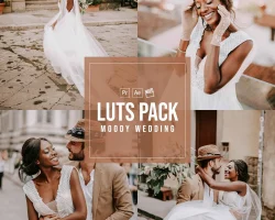 5 Tips For Getting The Most Out Of Free Wedding Video LUTs
