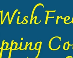 How To Use Wish Promo Codes To Save Money On Your Next Shopping Trip